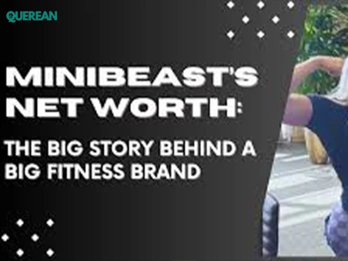Minibeast Net Worth